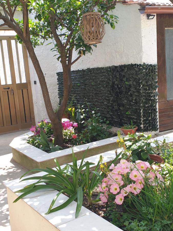 Casa Vacanze Con Giardino E Area Barbecue Martis 外观 照片